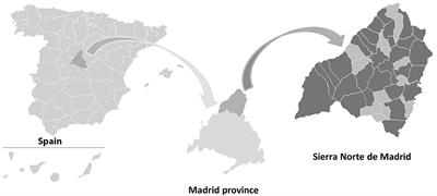 The Persistence of Flavor: Past and Present Use of Wild Food Plants in Sierra Norte de Madrid, Spain